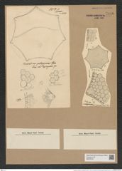 Triceratium schmidtii var. pustulatum (de-Toni-Nr.: Genus 139, Species 3705*) Zeichnungen Sammlung Grunow Nr. 7186 (NHMW-BOT-W0376167)